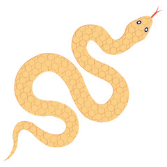 
A reptile animal, snake
