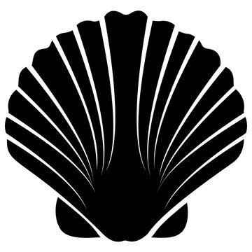 
Opened shell, seashell pearl
