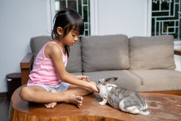 A little beautiful girl play with a rabbit. animal love concept