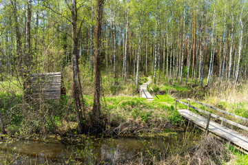 Obraz premium Forest area with streams and glades near Volozhin