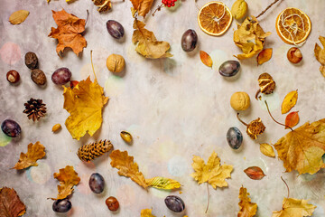 Autumn composition . Fallen dry leaves, orange pumpkins, ripe plums, acorns, chestnuts, cones. The concept of autumn, harvest, thanksgiving. Autumn still life. Top view, flat lay, copy space
