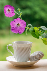 Elegant white porcelain Cup with a Saucer and beautiful violet Petunia flowers on a wooden Terrace against the background of Nature.
