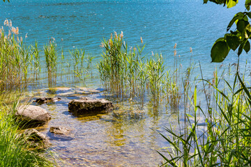Steine im See, Bad Wiessee, Tegernsee, Bayerische Voralpen, Bayern, Deutschland, Europa