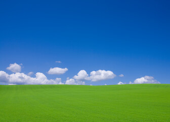 Fototapeta premium 丘と雲