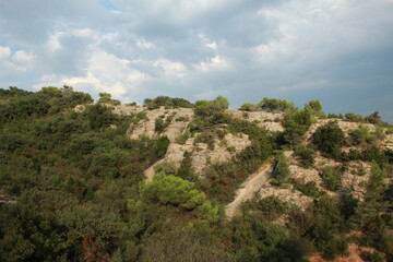 Paysage de Provence