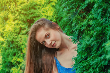Attractive woman with long hair looks out from behind a bush of green thuja. Portrait with beautiful healthy hair
