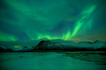Fototapeta na wymiar Beautiful night sky with Aurora Borealis aka northern lights in the fjords in Norway.