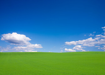 Obraz na płótnie Canvas 丘と雲