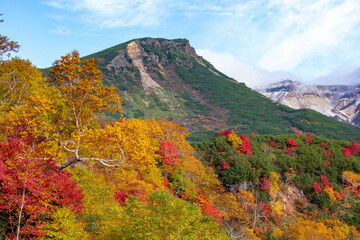 カラフルな秋の林と高山の山頂
