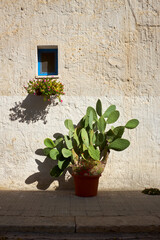 typical and picturesque houses of San Vito lo Capo in Sicily