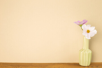 Vase of common cosmos flowers on wooden table with beige background. Home interior