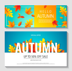 Fototapeta na wymiar Set of Autumn promo sale flyers or backgrounds with bright autumn leaves. Vector illustration for banner, poster, special offer, advertising, flyer, commercial.