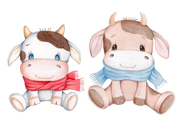 Two cute calfs, cow  and bull.  Watercolor hand drawn isolated illustration.