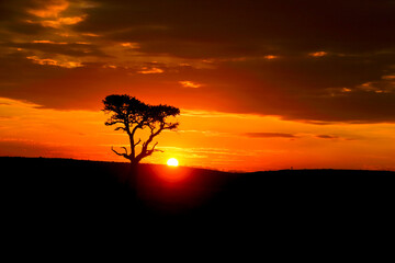 Kenya sunrise