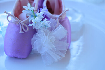 白色の花シラーとバレーシューズ