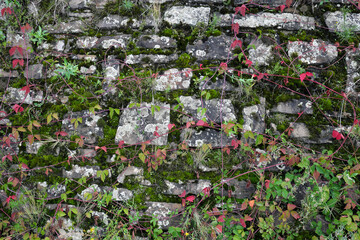 Verwitterte Natursteinmauer bewachsen mit Gräsern und Moos und Pflanzen - Stockfoto