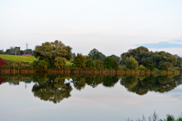 Fototapeta premium reflection of trees in water