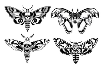 Moth with skull set. Scary butterfly in vintage style, monochrome death symbols collection. Vector illustration for tattoos templates or gothic culture concept