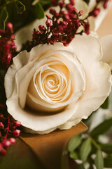 Close up view of beautiful white roses in bloom. Springtime background. 	