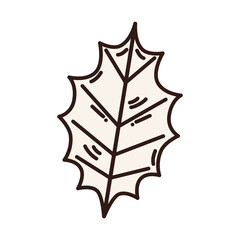 autumn leaf design of Natural floral nature and plant theme Vector illustration