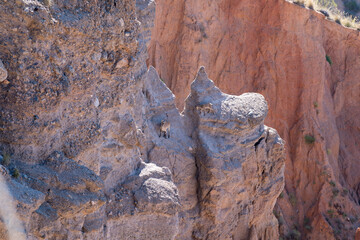 2 mountain goats in a gorge