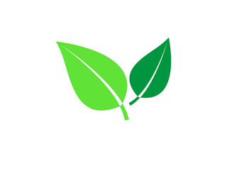 Grüne Blätter Icon isoliert auf weißen Hintergrund