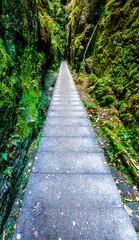 Obraz premium old footpath at the european alps