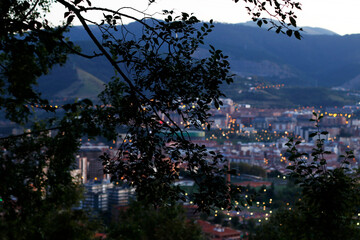 Panoramic view in the city of Bilbao