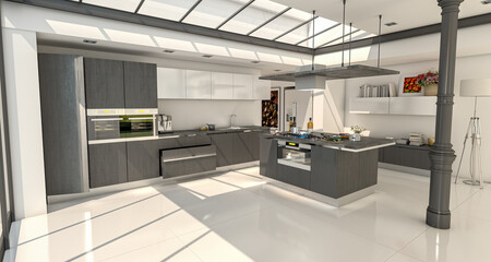 Industrial style domestic kitchen with glass roof in slate gray
