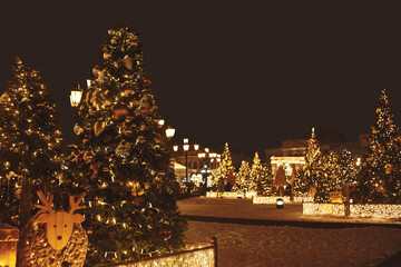 Christmas trees, decorated outdoors with light garland and toys