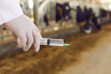 Closeup of veterinarian's hand holding syringe against blurred background of cowshed