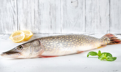 Raw spike on white background