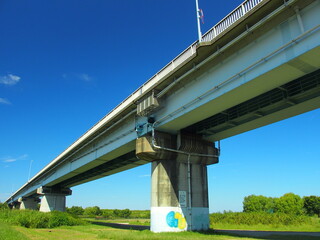 初秋の江戸川に架かる上葛飾橋風景