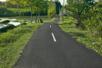 Asphalt Road Near Rice Fields In Morning In Bali, Indonesia. Street Through Terraced Tropical Landscape In Pererenan.