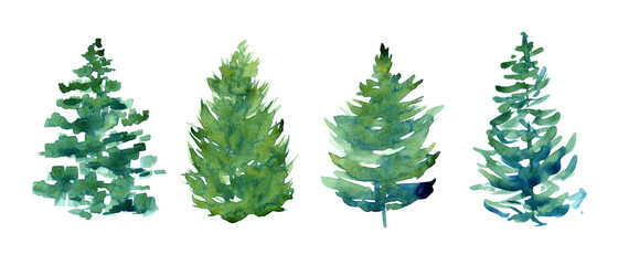 watercolor set of Christmas trees, four different spruse isolated on white background, hand painted illustration