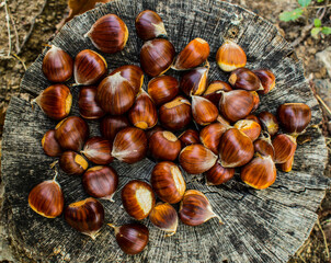 chestnuts on a wooden background