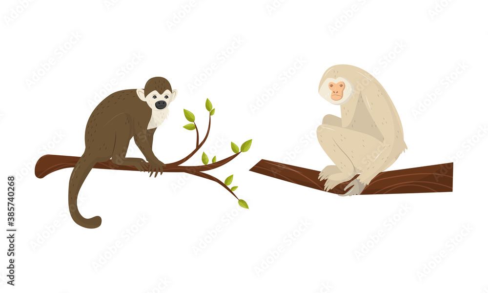 Poster monkey with chimpanzee sitting on tree branch vector set
