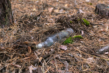 Glass bottle on the ground in a pine forest