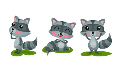 Cute Raccoon with Striped Coat Laughing Vector Set