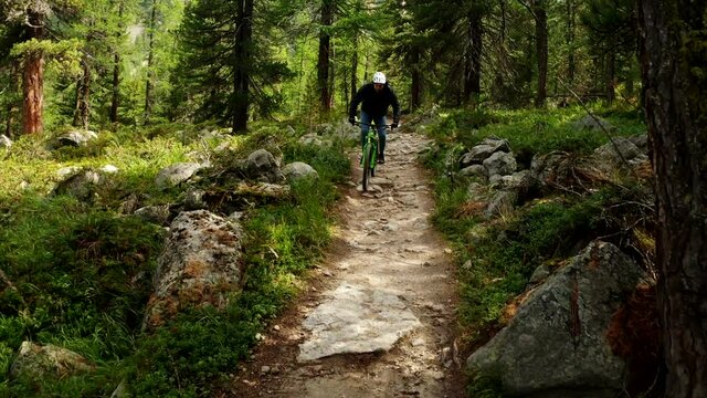 Man riding downhill mountain bike MTB on a single track trough the green forest on a sunny day. Beautiful view of the nature  with sun flare.