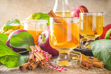 Traditional autumn winter alcohol drink. Hot and spicy apple cider.