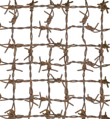 Picture of barbed wire on a white background