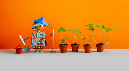 Agriculture gardening poster. Toy gardener robot with bucket shovel rake and sprouts of wild...