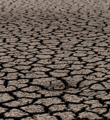 Earth cracked because of drought. The global shortage of water on the planet. Global warming concept. Dry cracks in the land.