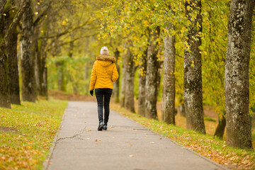 One young adult woman in yellow jacket slowly walking through alley of trees in autumn day at park. Spending time alone in nature. Peaceful atmosphere. Back view.
