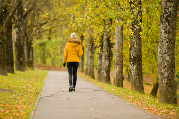 Obraz premium One young adult woman in yellow jacket slowly walking through alley of trees in autumn day at park. Spending time alone in nature. Peaceful atmosphere. Back view.