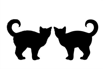 Vector silhouette of cat on white background. Symbol of home animal and pet.