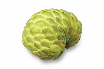 Custard apple isolated on white background. Image stacked with clipping path for artwork advertising.