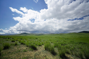 Green plain and cloudy sky