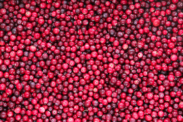 Ripe fresh cranberries as natural, food, berries background	